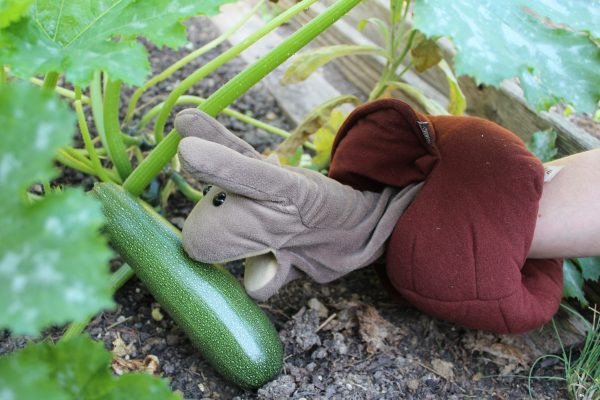 Fortbildung - Gärtnern und Naturerfahrung mit Kindern