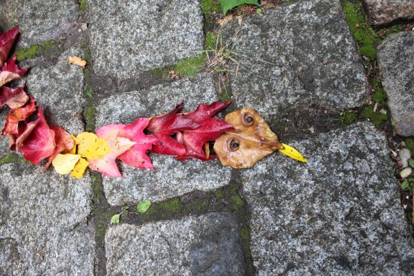 Fortbildung - Kreatives Gestalten mit Naturmaterialien