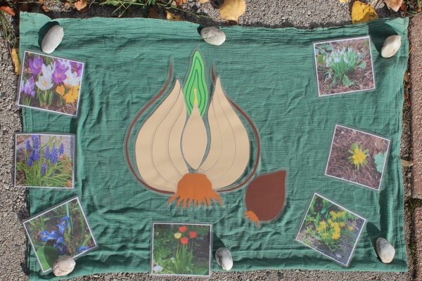 Fortbildung - Wissensvermittlung in und mit der Natur